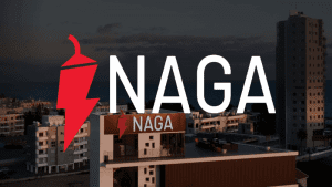 Lee más sobre el artículo NAGA