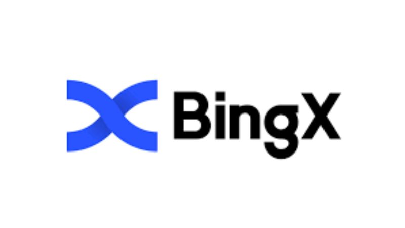 BingX activos digitales derivados ecosistema centrado comercio social