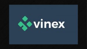 Lee más sobre el artículo Vinex