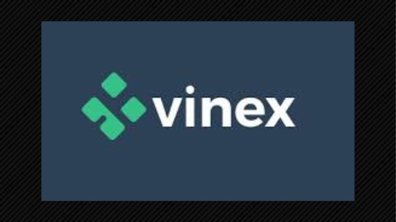 En este momento estás viendo Vinex
