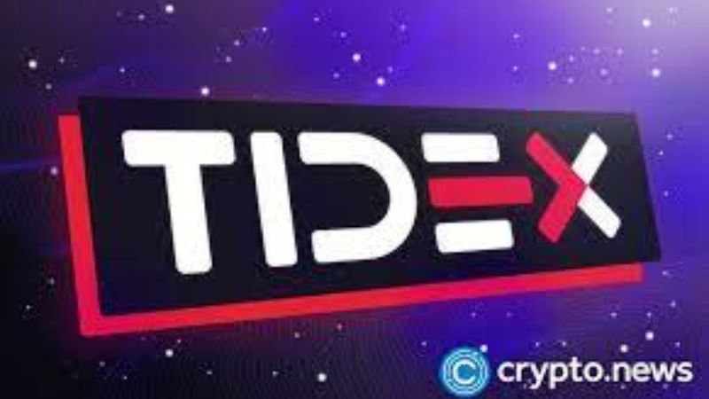 En este momento estás viendo Tidex