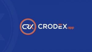 Lee más sobre el artículo Crodex