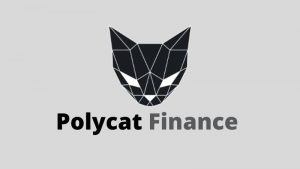 Lee más sobre el artículo Polycat Finance