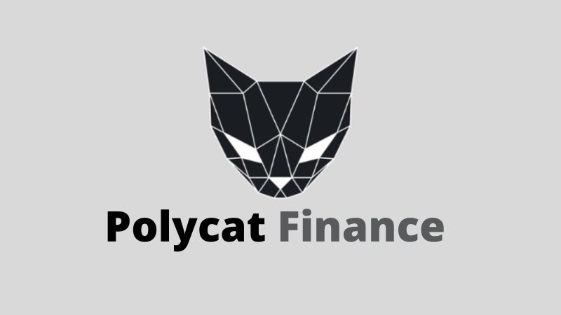 En este momento estás viendo Polycat Finance