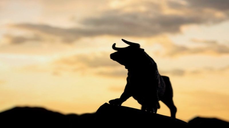 pero resulta imprescindible saber cuándo estás en un mercado alcista o bull market y las estrategias a seguir para aprovechar dicha tendencia.