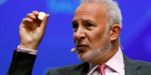 Peter Schiff cuestiona las nuevas hipotecas con bitcoin y USDC